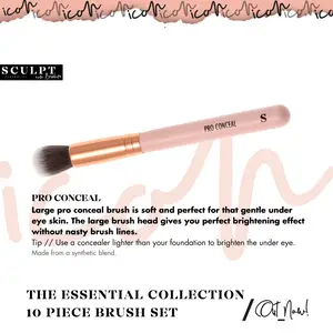Sculpt Icon // The Essential Collection 10 Piece Rose Gold Brush Set