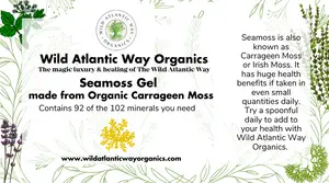 Seamoss Gel in Strawberry Flavour