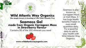 Seamoss Gel in Strawberry Flavour